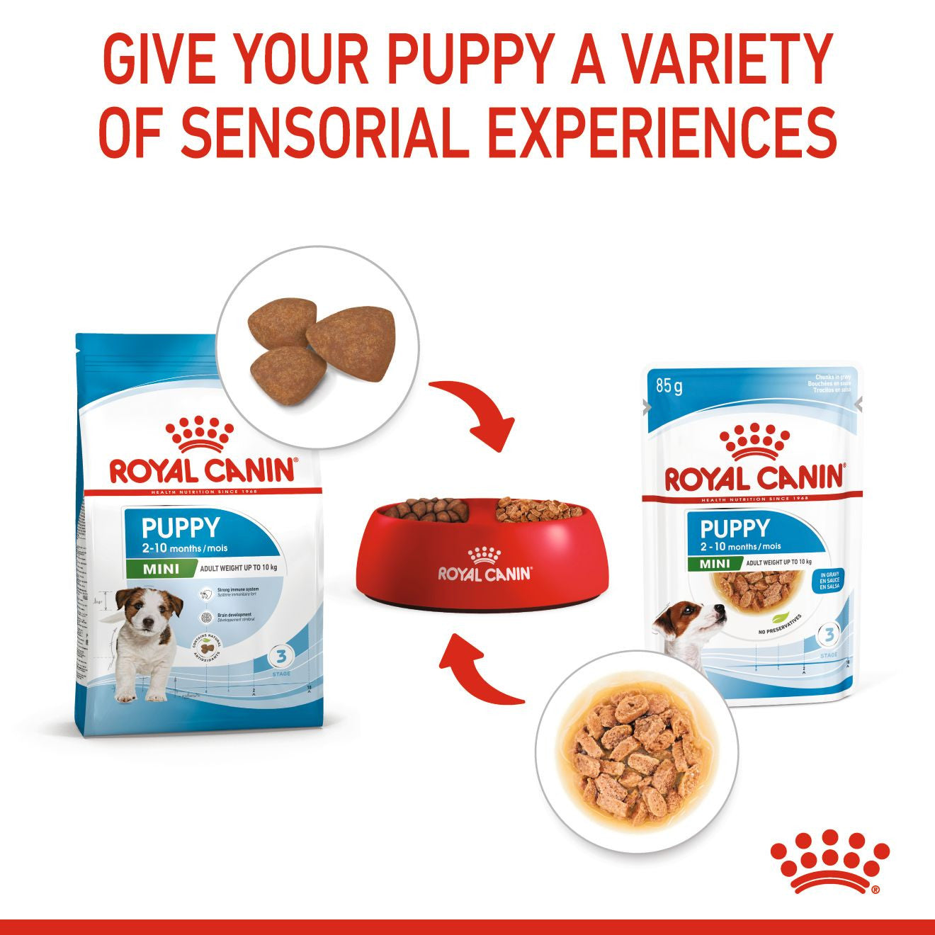 Royal Canin Size Health Nutrition Mini Puppy Dry Dog Food