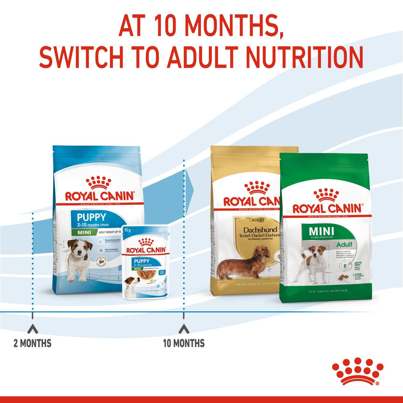 Royal Canin Size Health Nutrition Mini Puppy Dry Dog Food