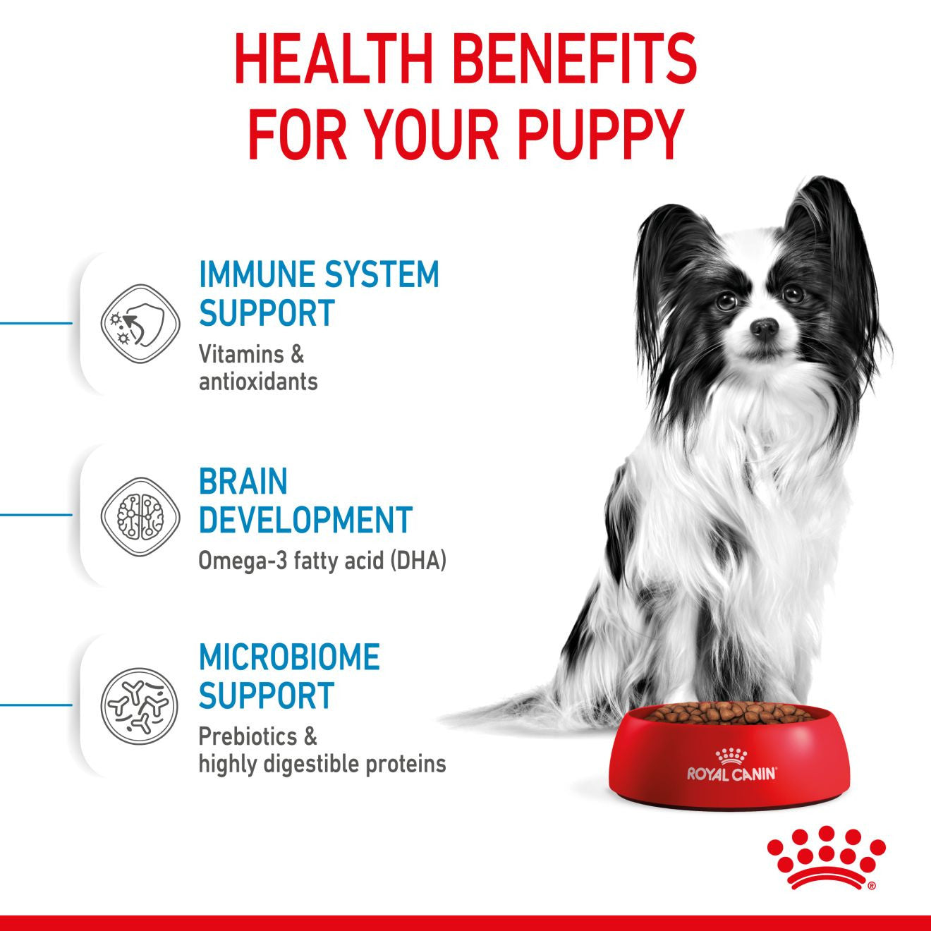 Royal Canin Size Health Nutrition X-Small Puppy Dry Dog Food