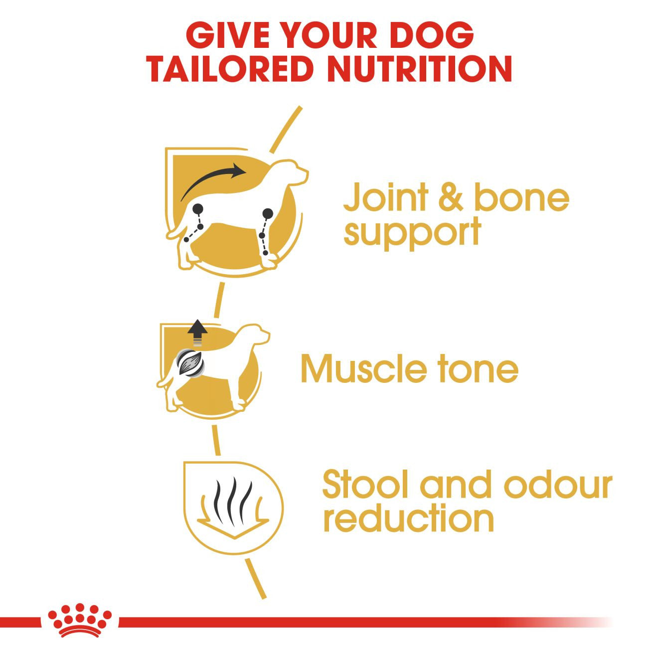 Royal Canin Breed Health Nutrition Dachshund Adult Dry Dog Food