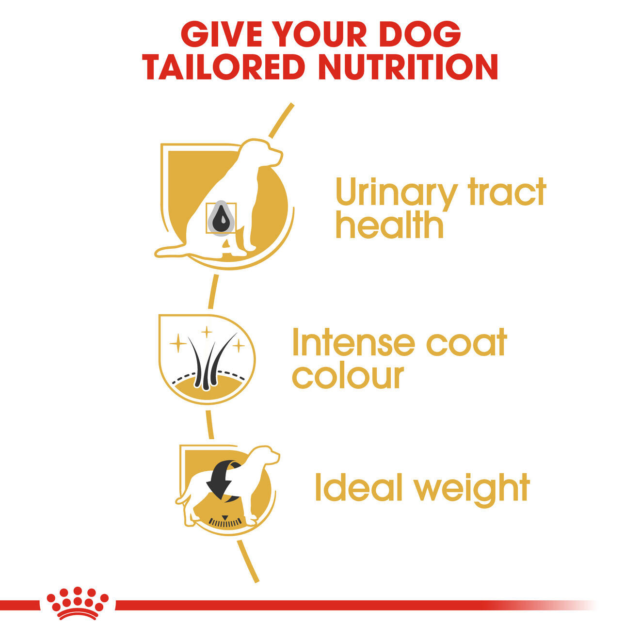 Royal Canin Breed Health Nutrition Miniature Schnauzer Adult Dry Dog Food