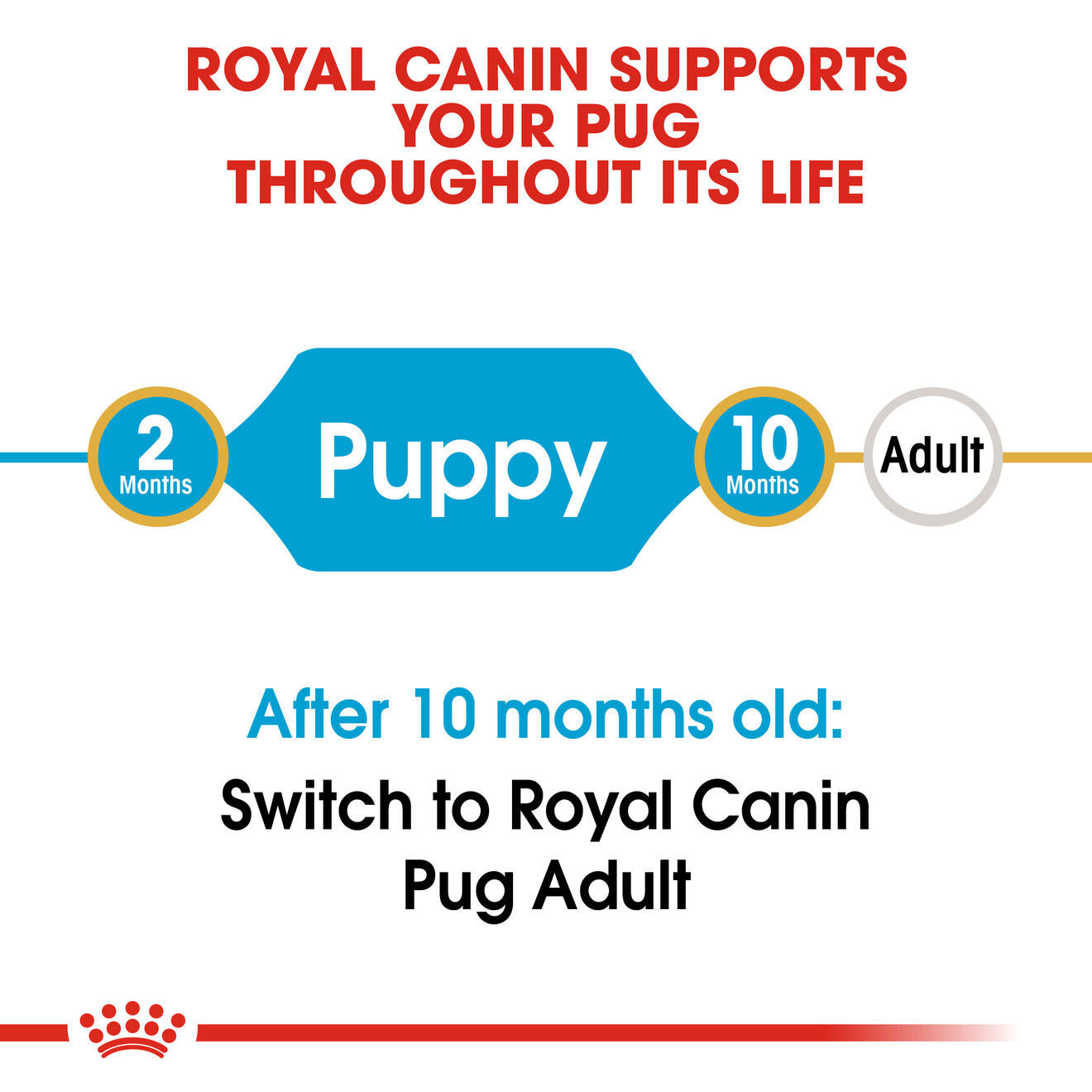 Royal Canin Breed Health Nutrition Pug Puppy Dry Dog Food