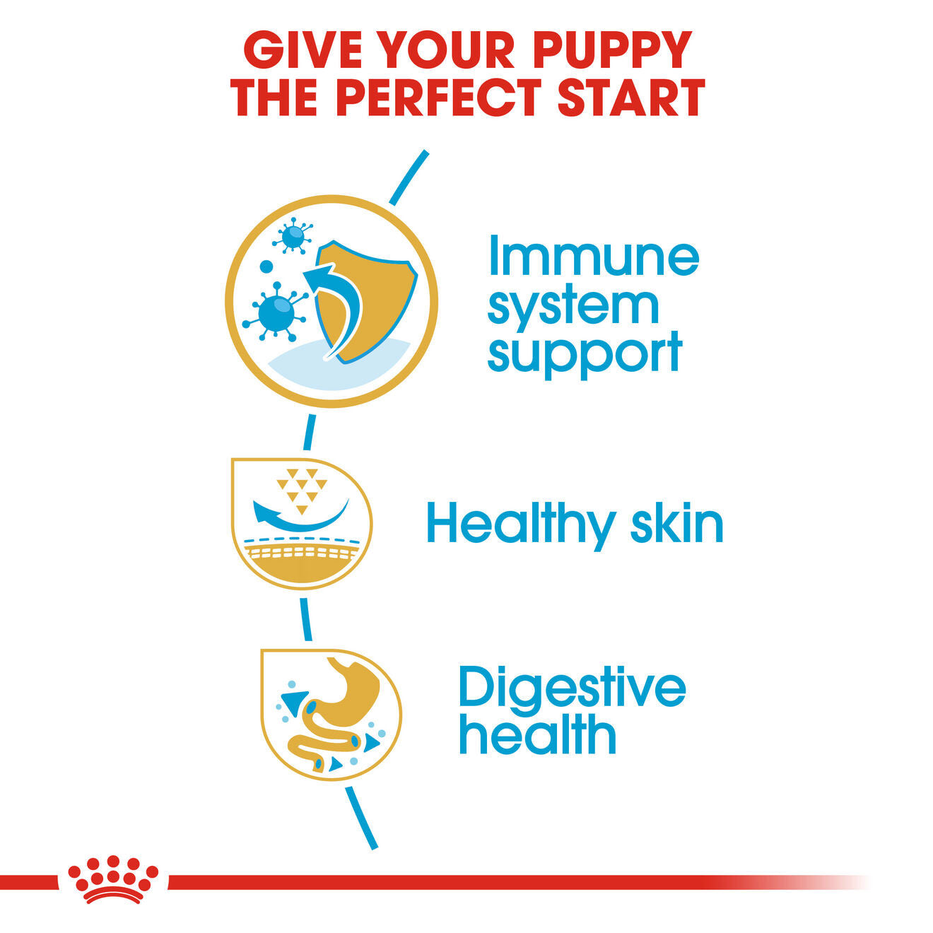 Royal Canin Breed Health Nutrition Pug Puppy Dry Dog Food