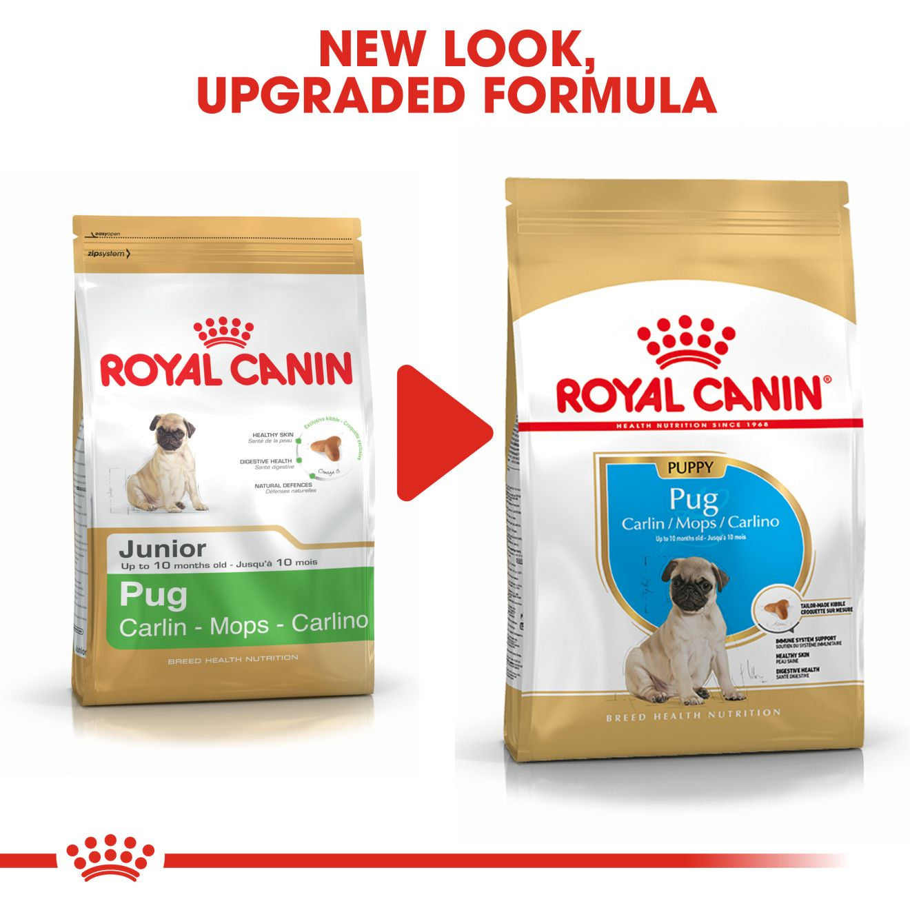 Royal Canin Breed Health Nutrition Pug Puppy Dry Dog Food