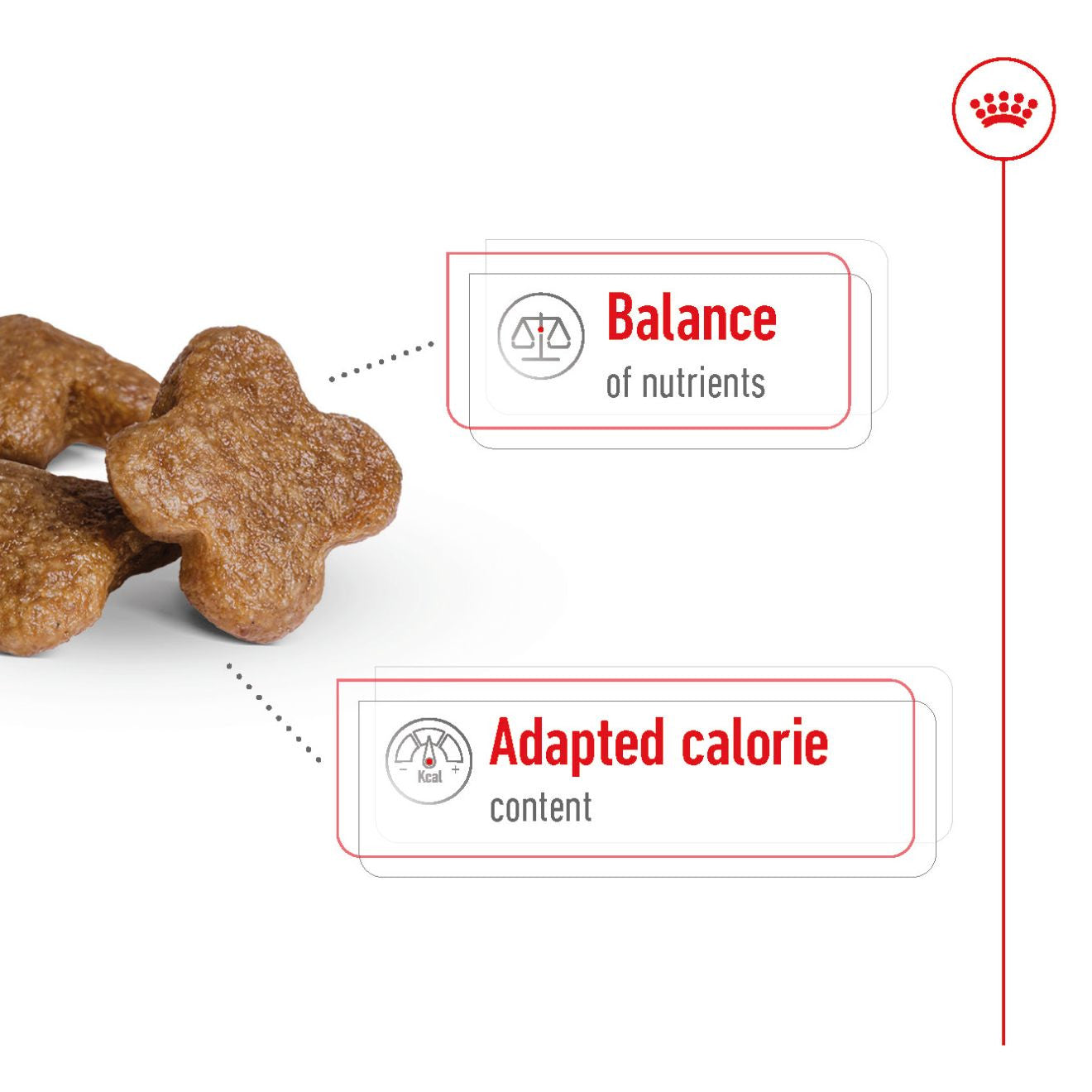 Royal Canin Size Health Nutrition Mini 8+ Mature Dry Dog Food