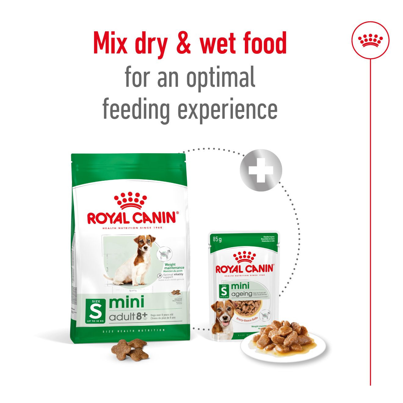 Royal Canin Size Health Nutrition Mini 8+ Mature Dry Dog Food