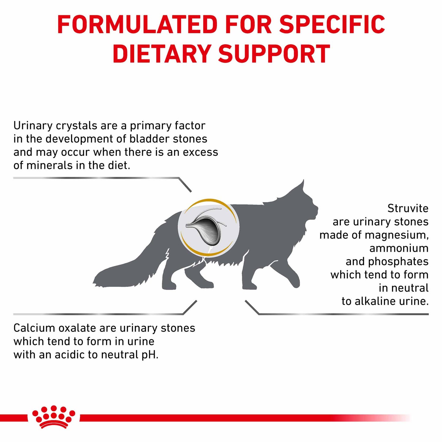 Royal Canin Veterinary Health Nutrition Urinary SO Dry Cat Food