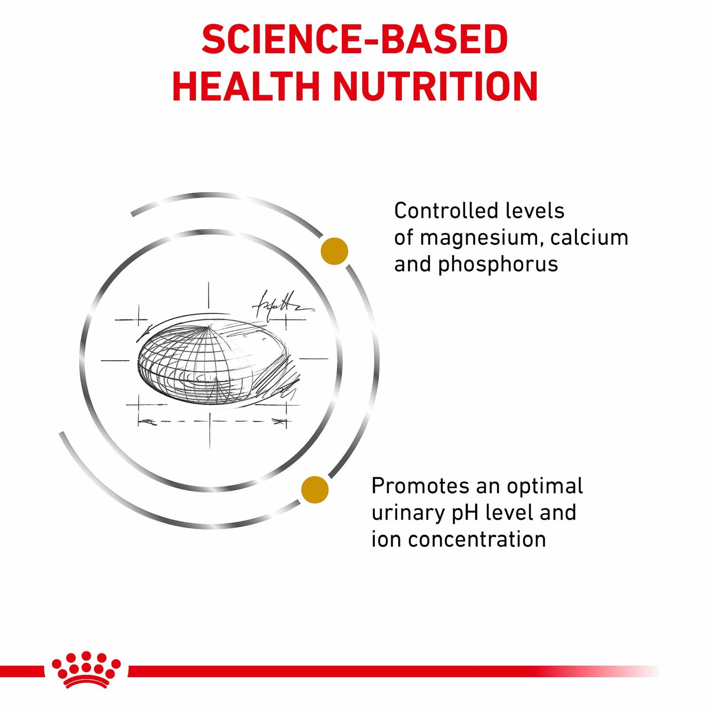 Royal Canin Veterinary Health Nutrition Urinary SO Dry Cat Food
