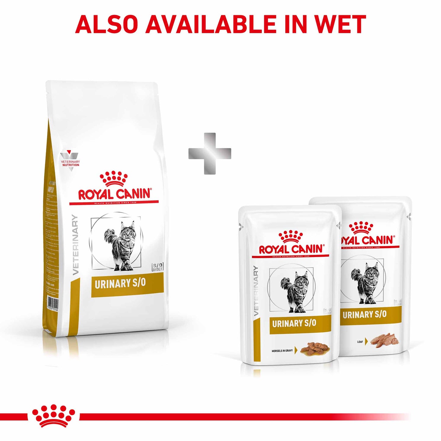 Royal Canin Veterinary Health Nutrition Urinary SO Dry Cat Food