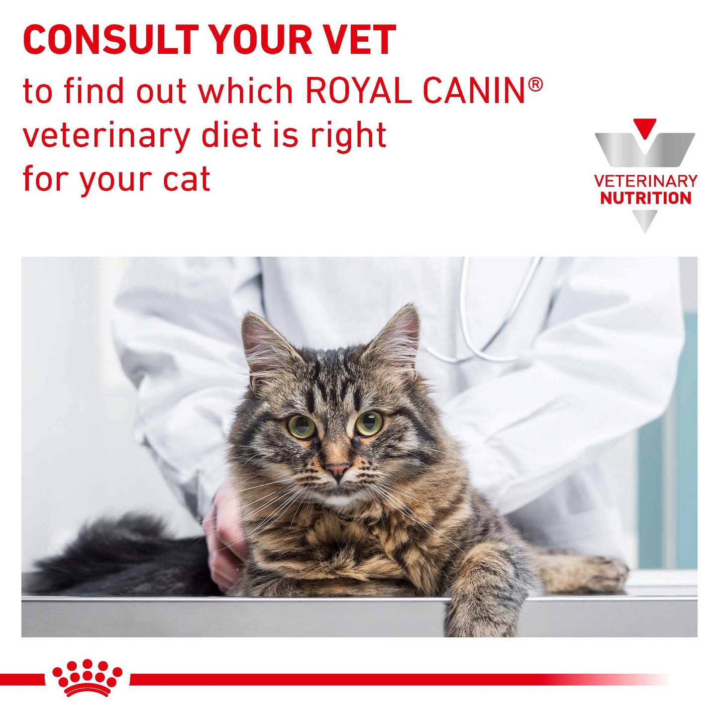 Royal Canin Veterinary Health Nutrition Urinary SO Dry Cat Food