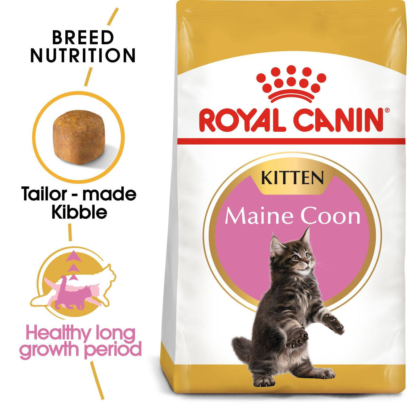 ROYAL CANIN Breed Health Nutrition Maine Coon Kitten Dry Cat Food