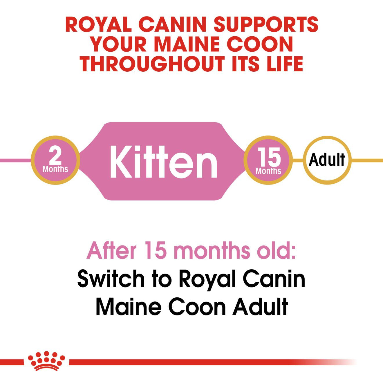 ROYAL CANIN Breed Health Nutrition Maine Coon Kitten Dry Cat Food
