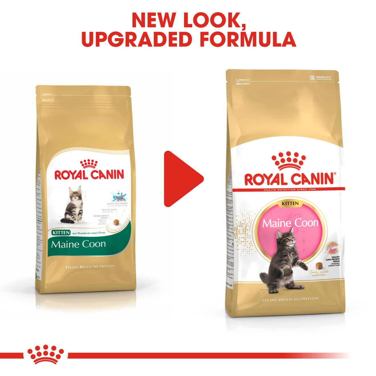 ROYAL CANIN Breed Health Nutrition Maine Coon Kitten Dry Cat Food