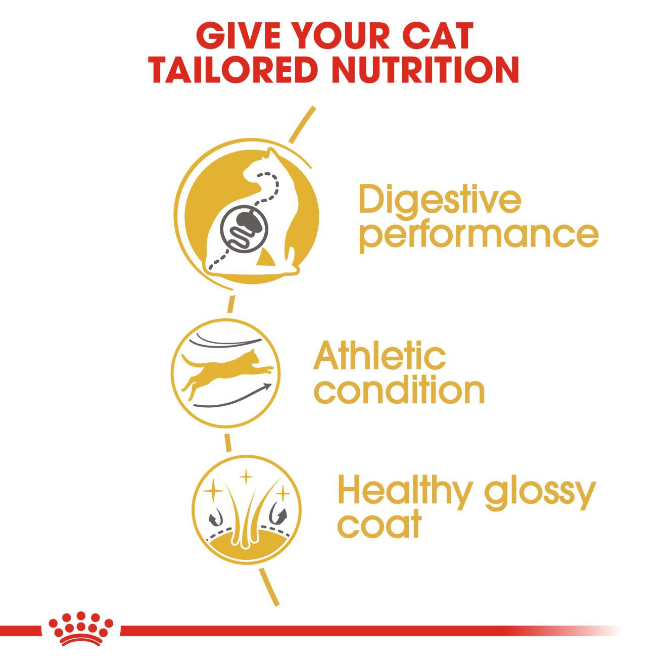ROYAL CANIN Breed Health Nutrition Bengal Adult Dry Cat Food