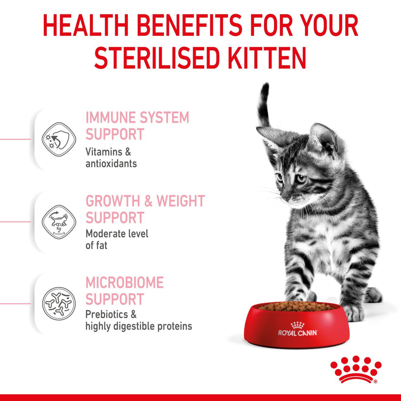 Royal Canin Feline Health Nutrition Kitten Sterilised Dry Food