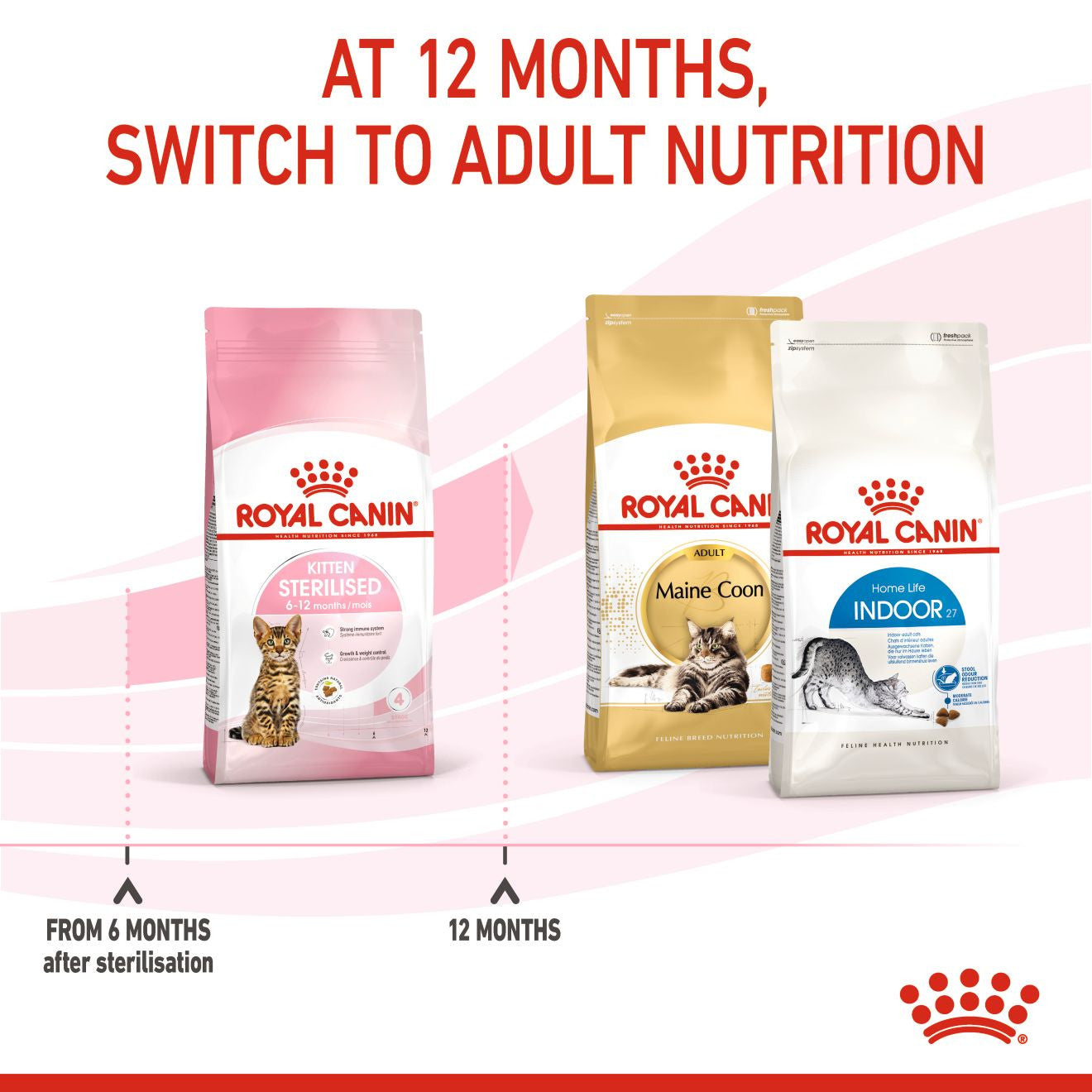 Royal Canin Feline Health Nutrition Kitten Sterilised Dry Food