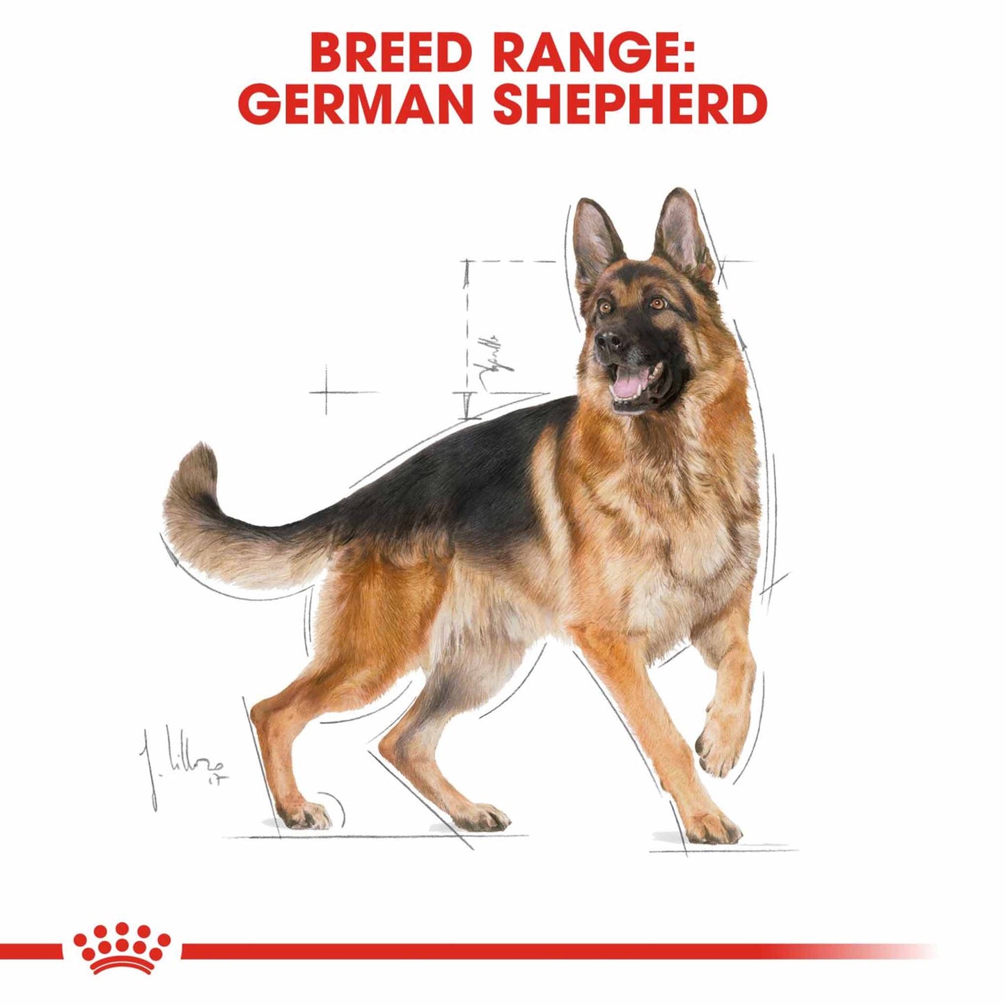Royal Canin Breed Health Nutrition German Shepherd Adult Dry Dog Food