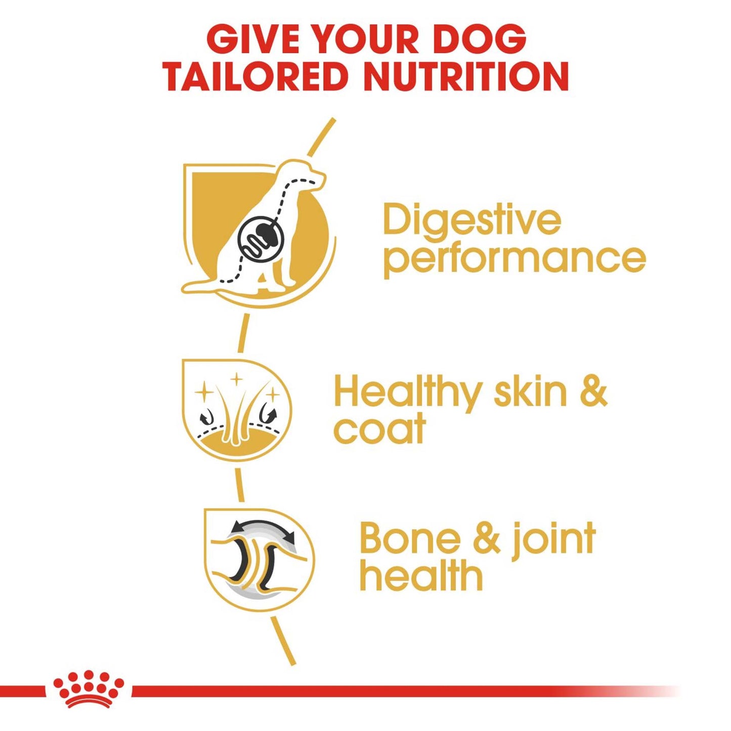 Royal Canin Breed Health Nutrition German Shepherd Adult Dry Dog Food