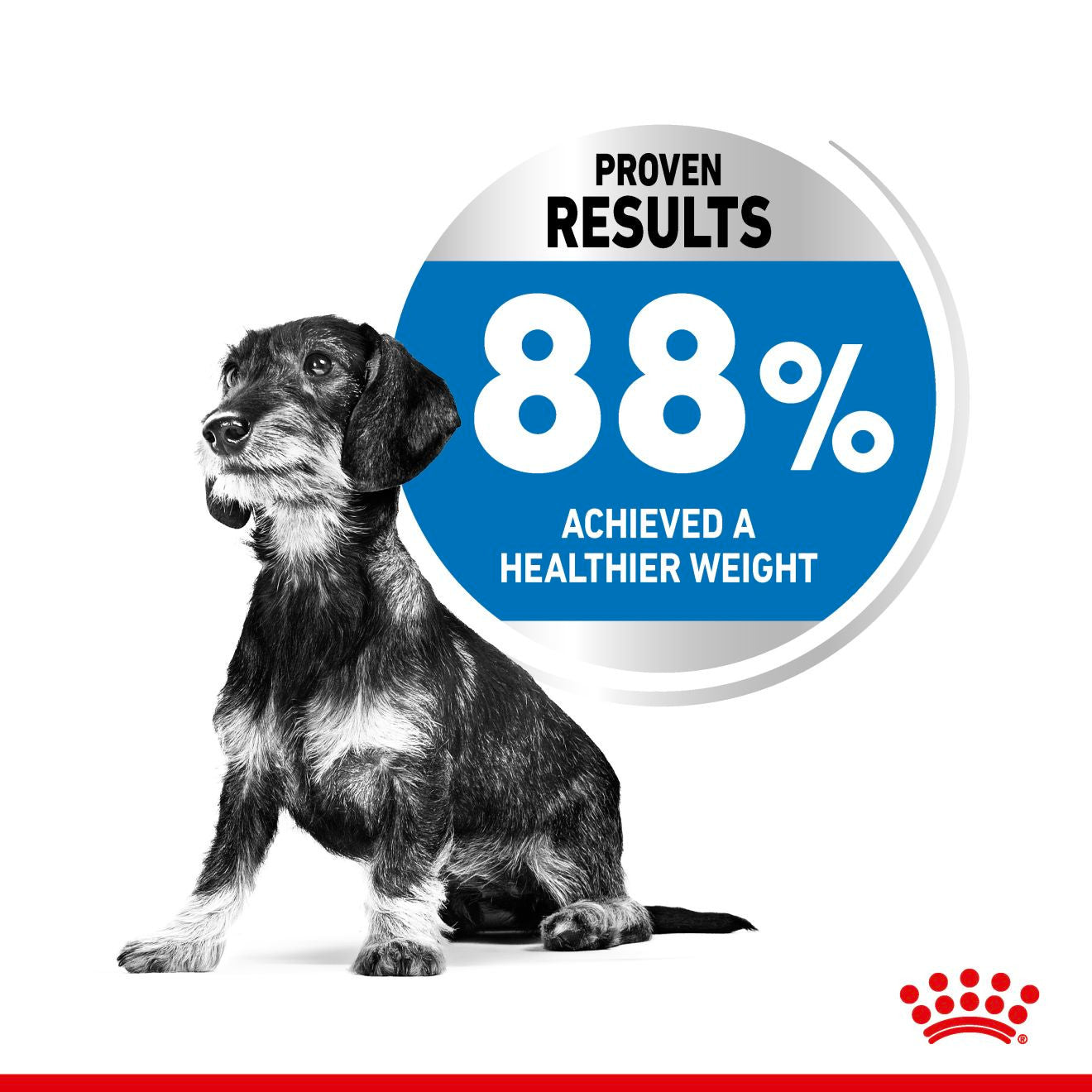 Royal Canin Mini Light Weight Care Adult Dry Dog Food