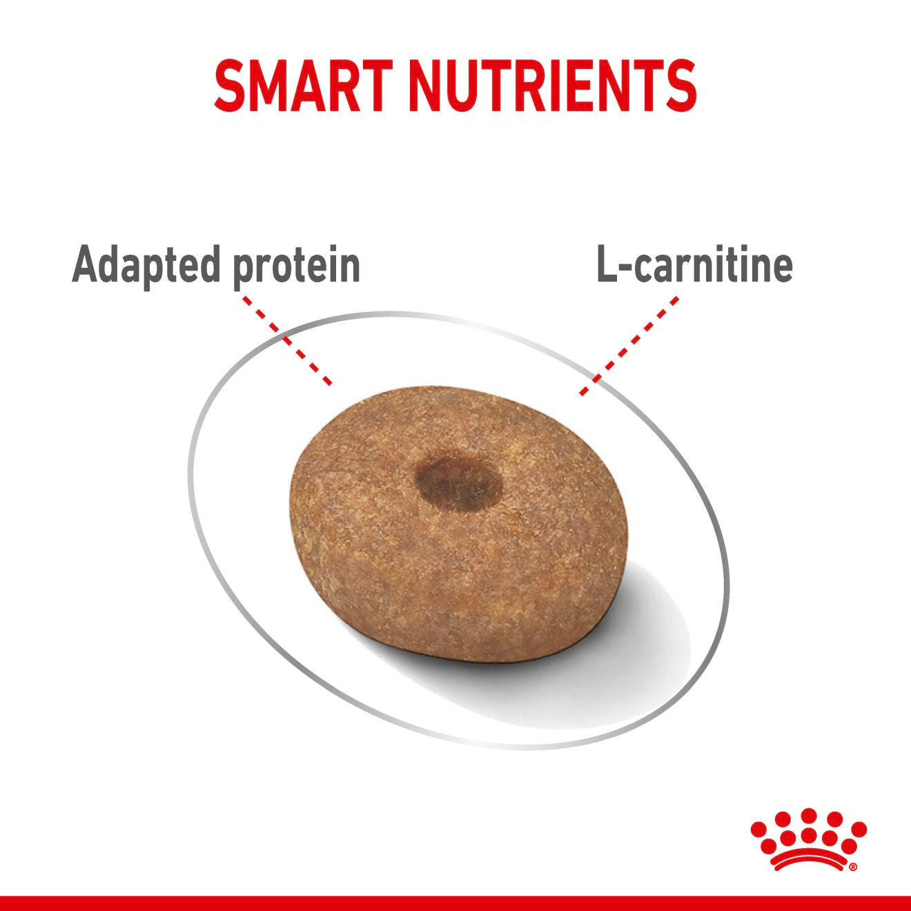 Royal Canin Mini Light Weight Care Adult Dry Dog Food