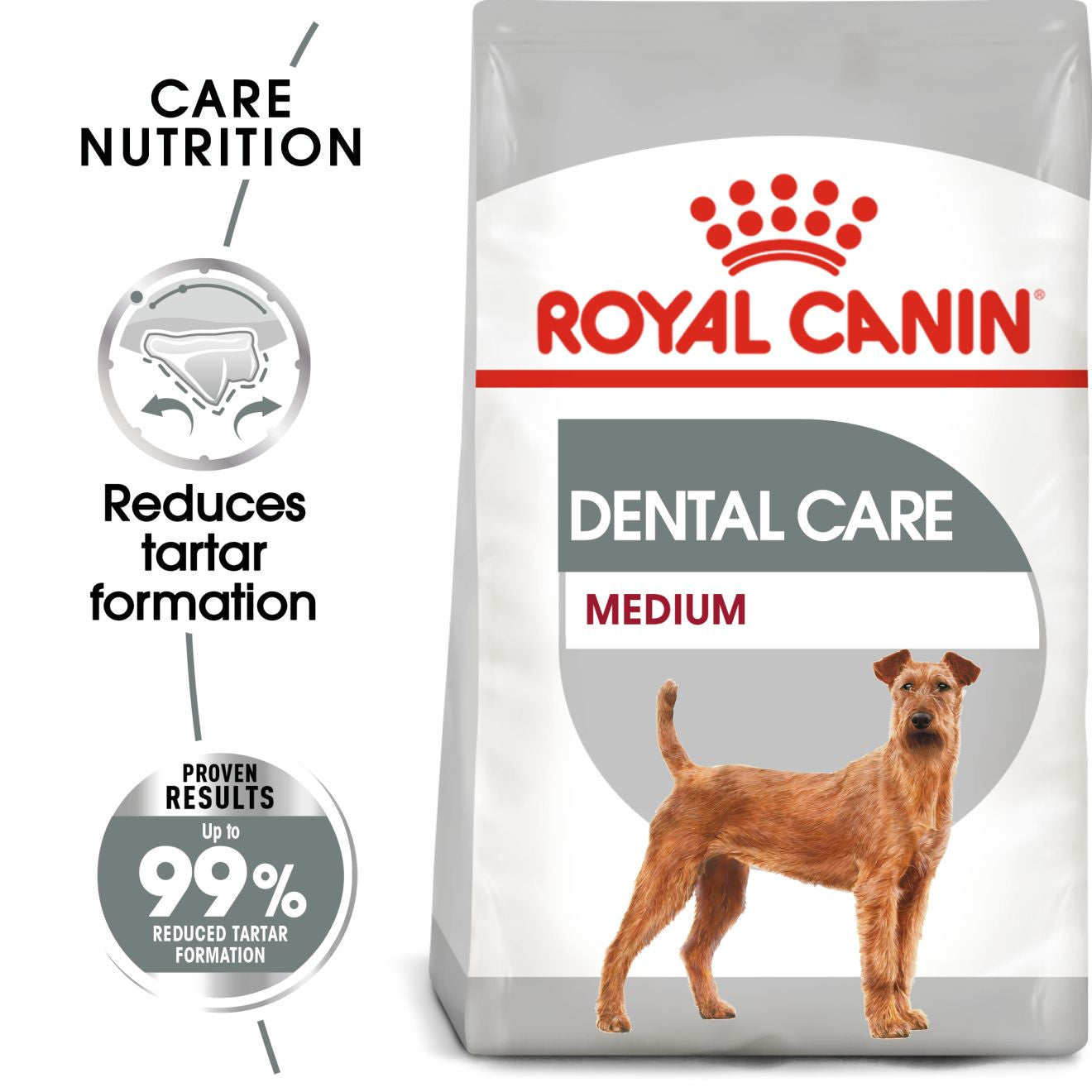 Royal Canin Size Health Nutrition Medium Dental Care Adult Dry Dog Food