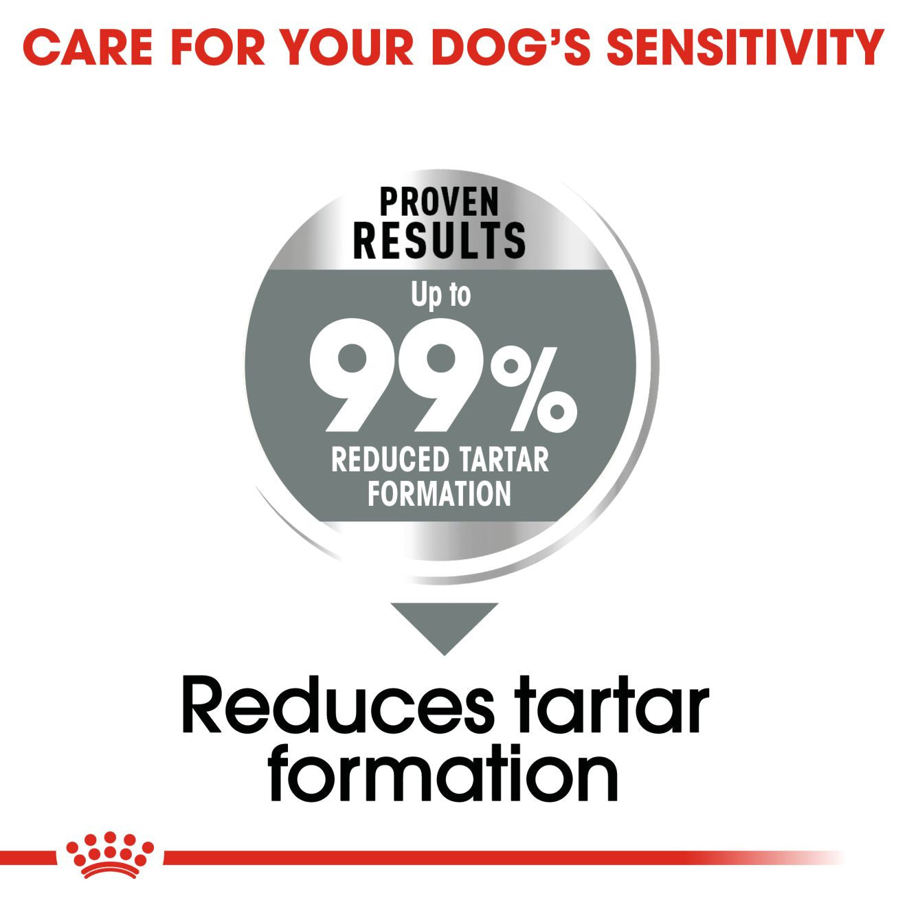 Royal Canin Size Health Nutrition Medium Dental Care Adult Dry Dog Food