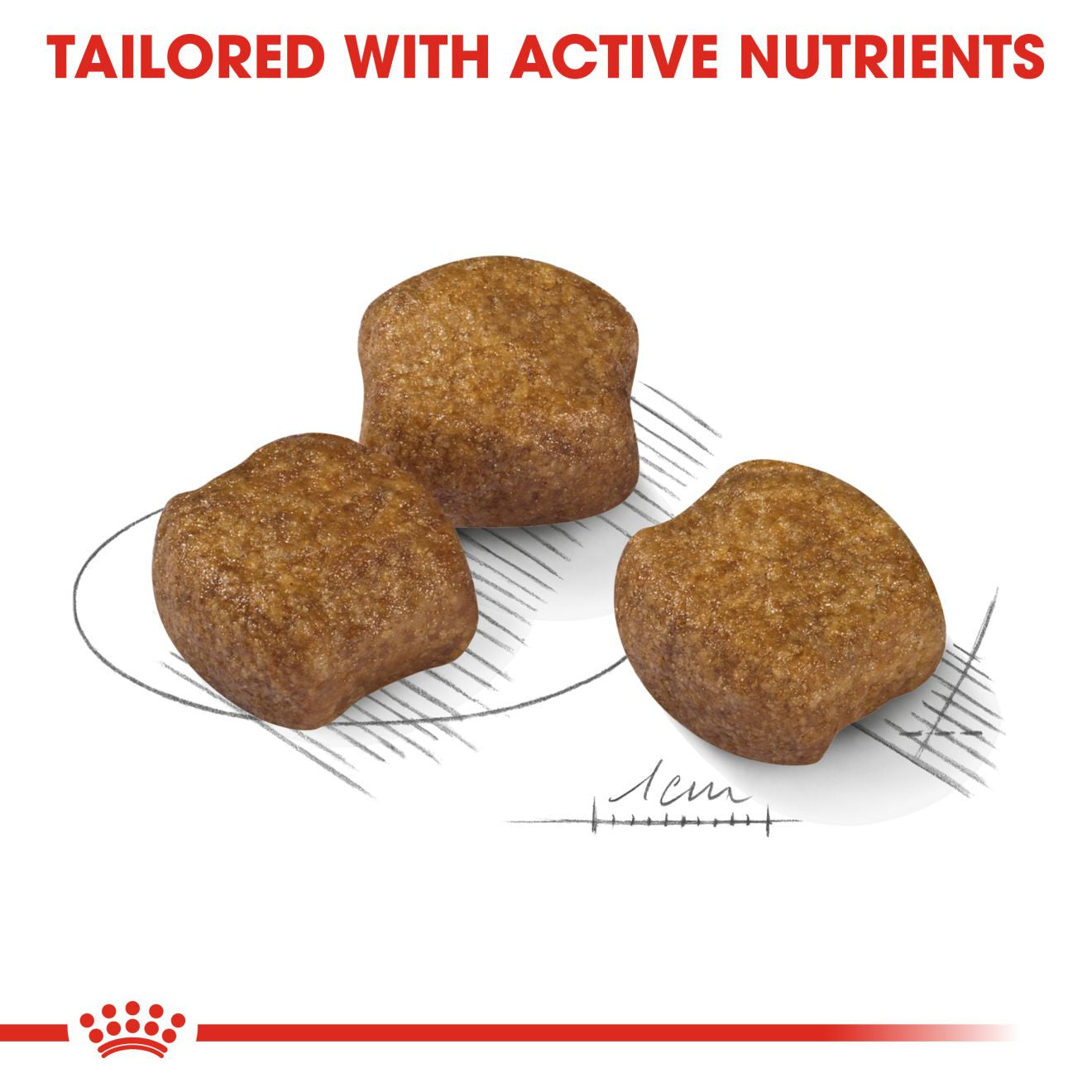 Royal Canin Size Health Nutrition Medium Dental Care Adult Dry Dog Food