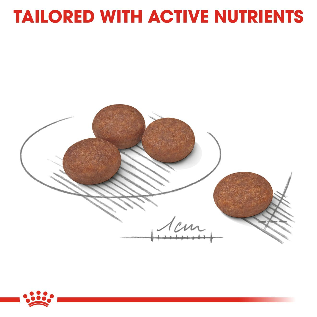 Royal Canin Size Health Nutrition Mini Digestive Care Adult Dry Dog Food