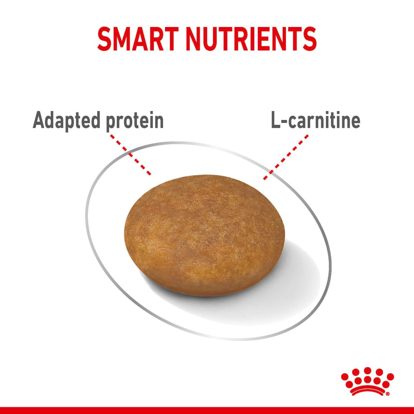 Royal Canin Size Health Nutrition X-Small Light Weight Care Adult Dry Dog Food