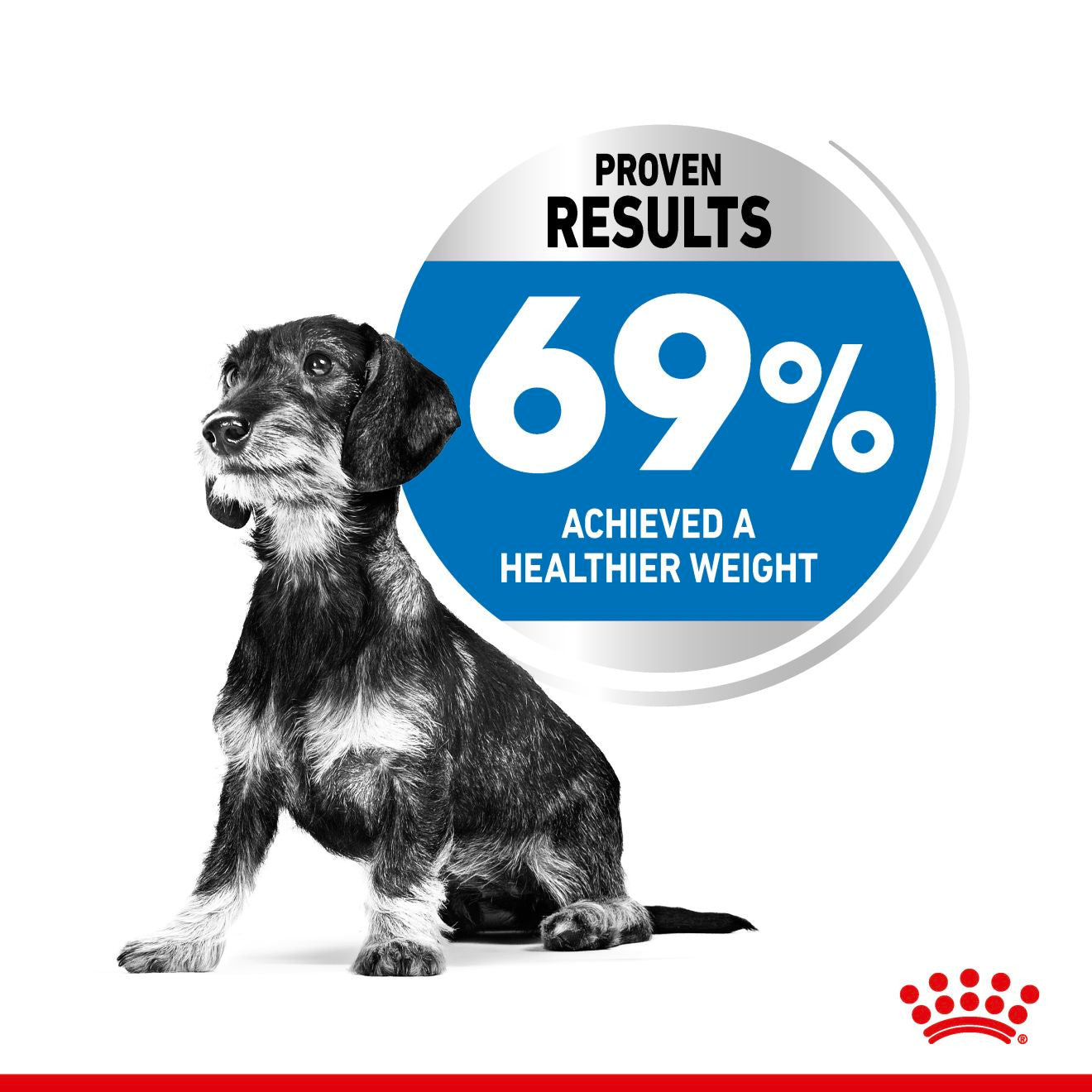 Royal Canin Size Health Nutrition X-Small Light Weight Care Adult Dry Dog Food