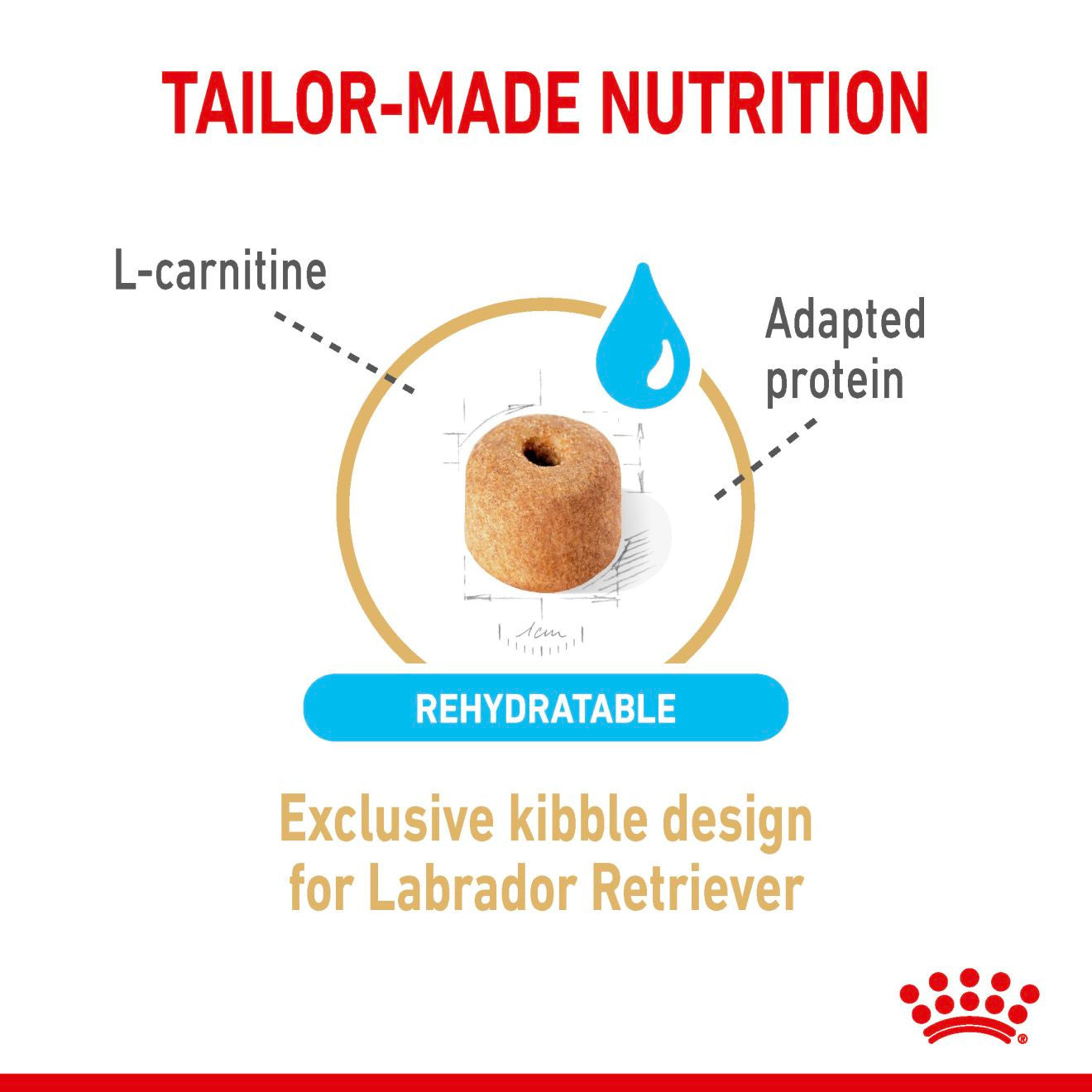 Royal Canin Breed Health Nutrition Labrador Retriever Adult 5+ Dry Dog Food