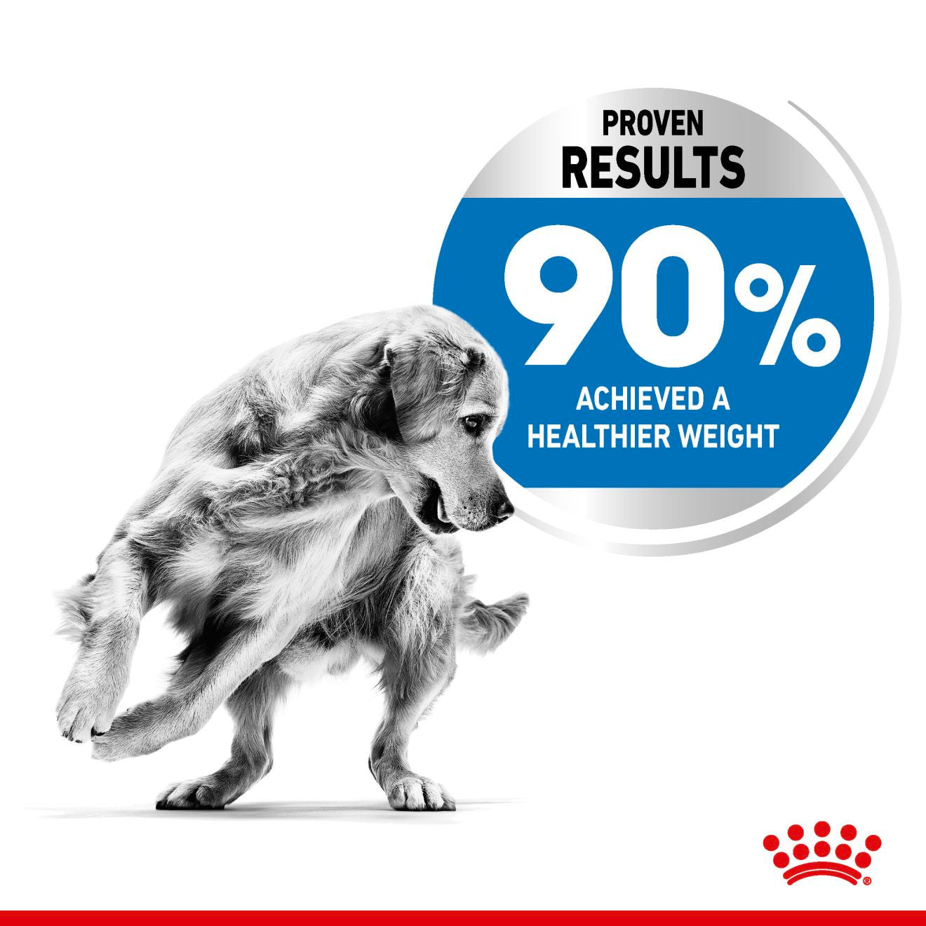 Royal Canin Canine Care Nutrition Maxi Light Weight Care Adult Dry Dog Food