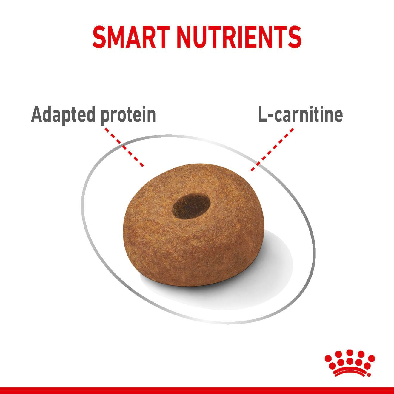 Royal Canin Canine Care Nutrition Maxi Light Weight Care Adult Dry Dog Food
