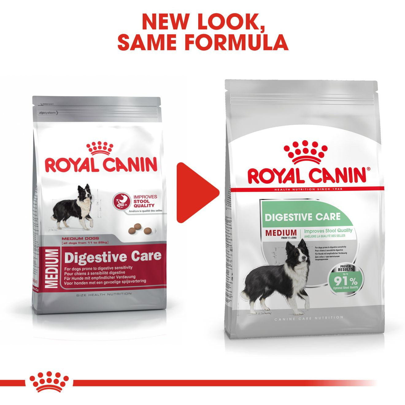 Royal Canin Size Health Nutrition Medium Digestive Care Adult Dry Dog Food