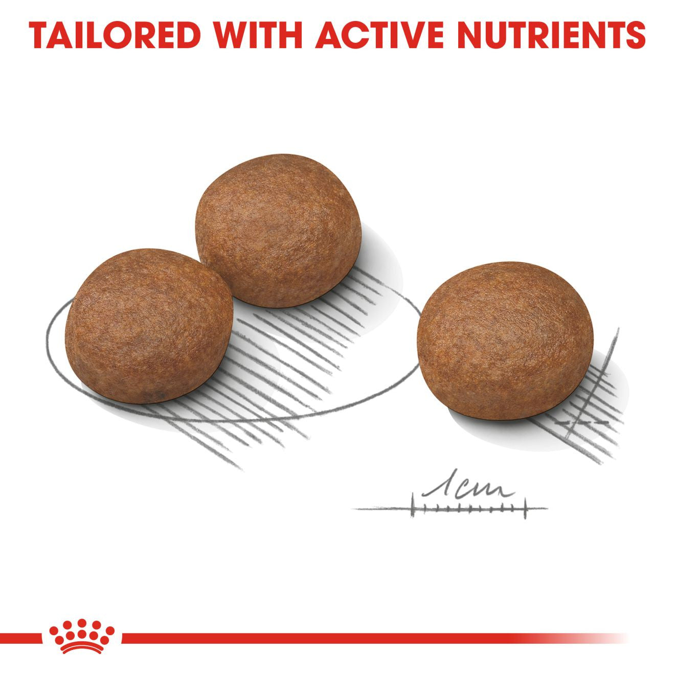 Royal Canin Size Health Nutrition Medium Digestive Care Adult Dry Dog Food