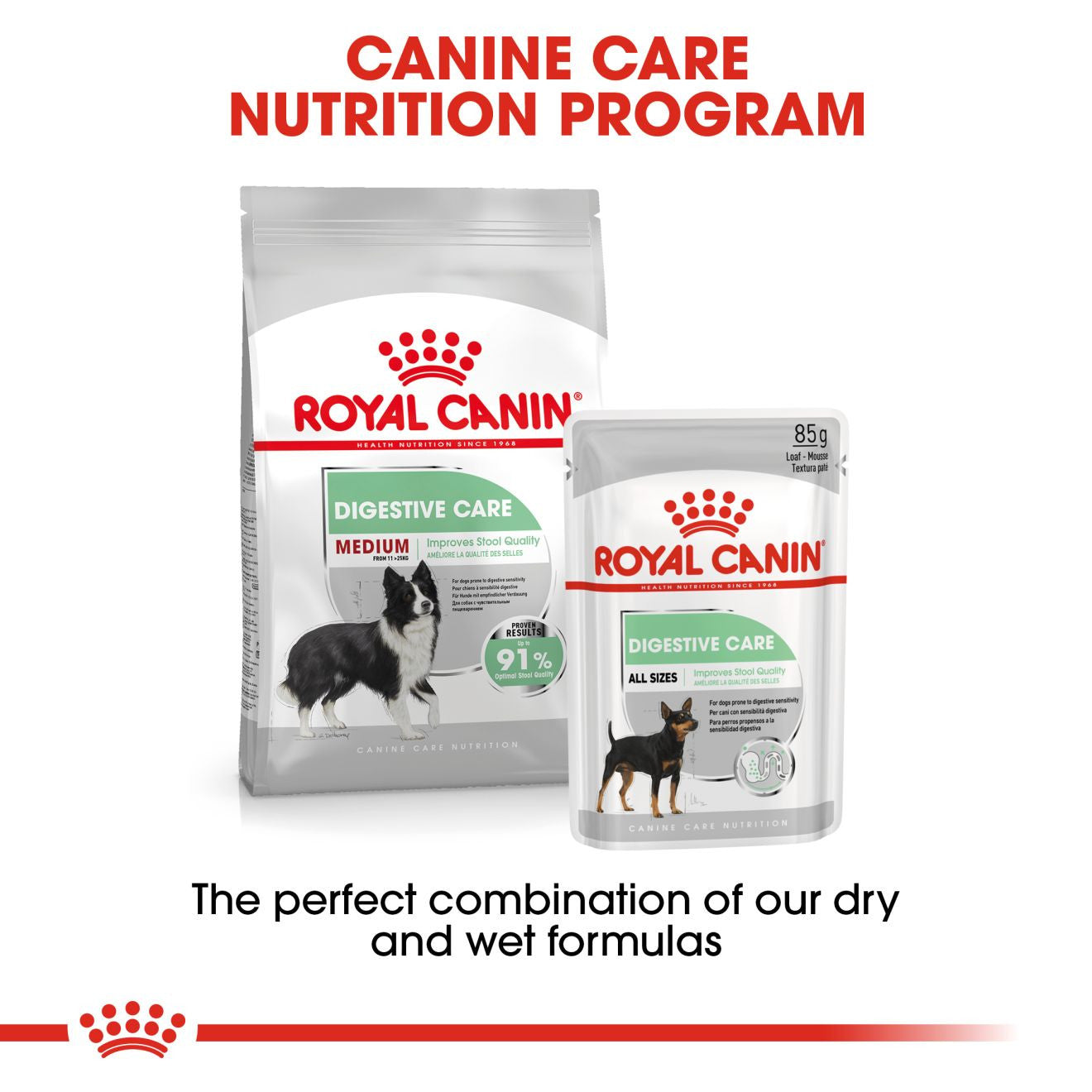 Royal Canin Size Health Nutrition Medium Digestive Care Adult Dry Dog Food