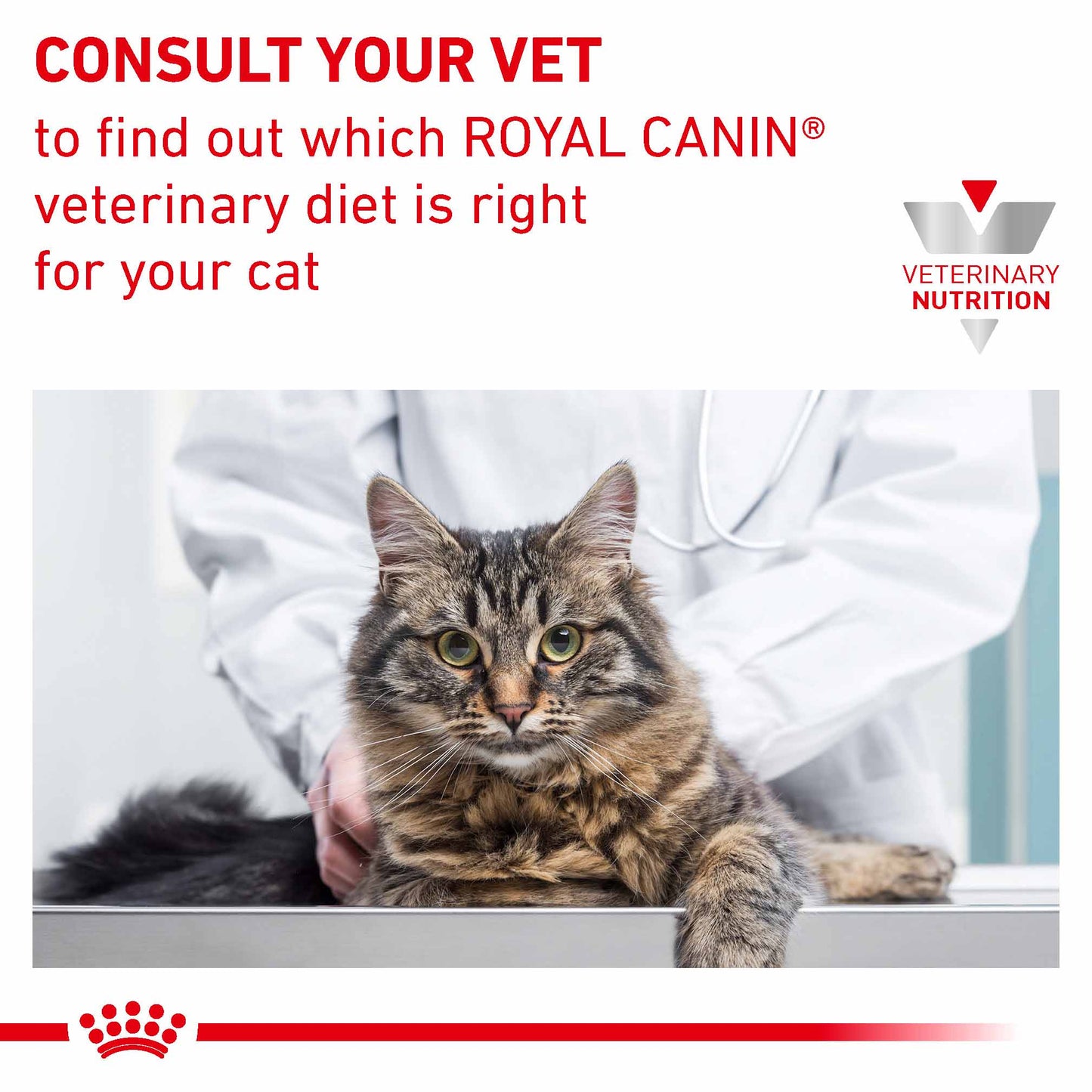Royal Canin Veterinary Health Nutrition Sensitivity Control Adult Dry Cat Food