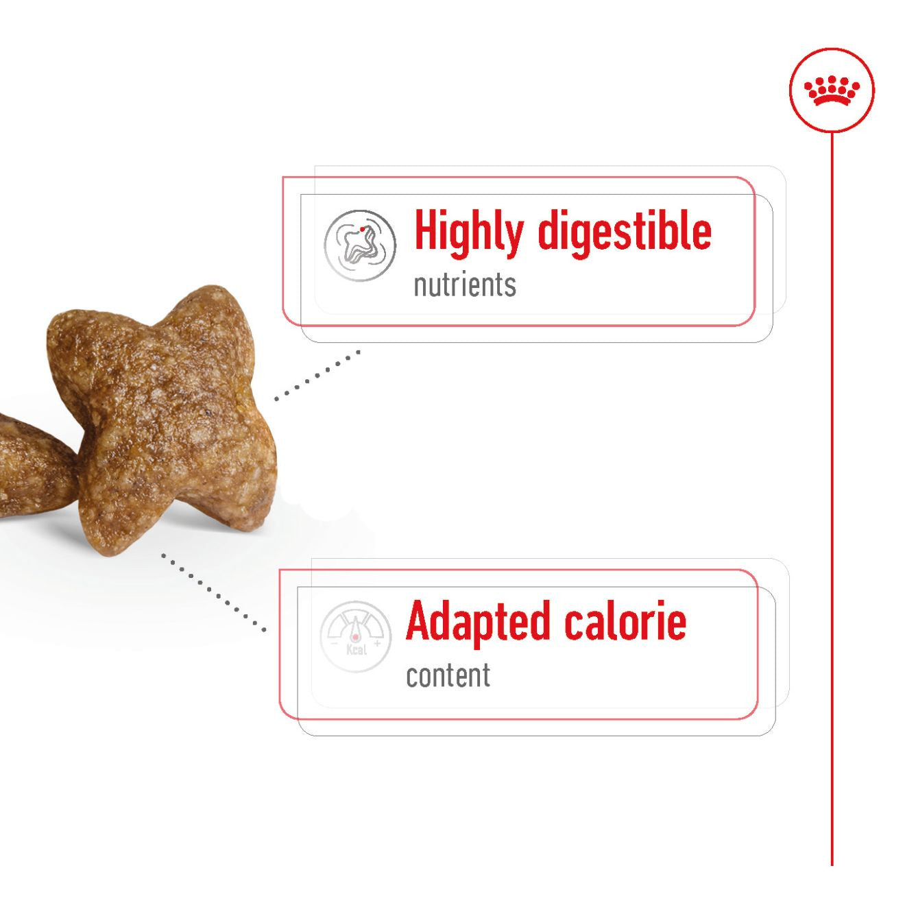 Royal Canin Size Health Nutrition Mini Adult Dry Dog Food