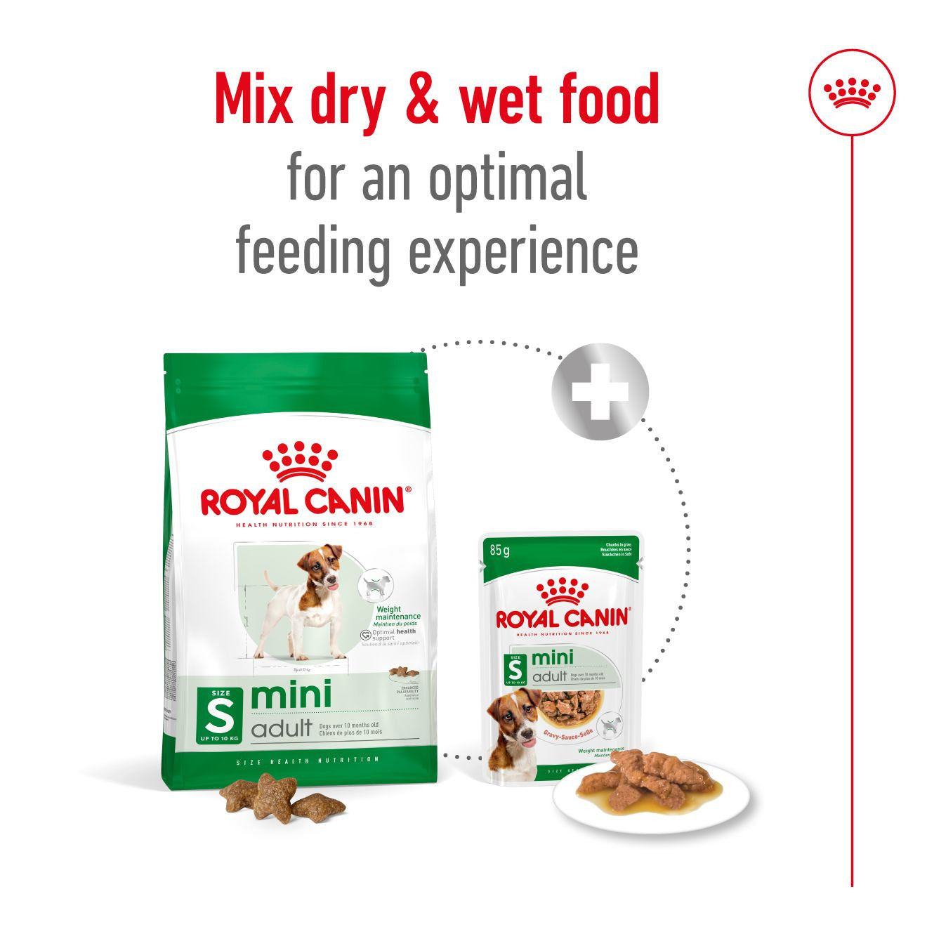 Royal Canin Size Health Nutrition Mini Adult Dry Dog Food
