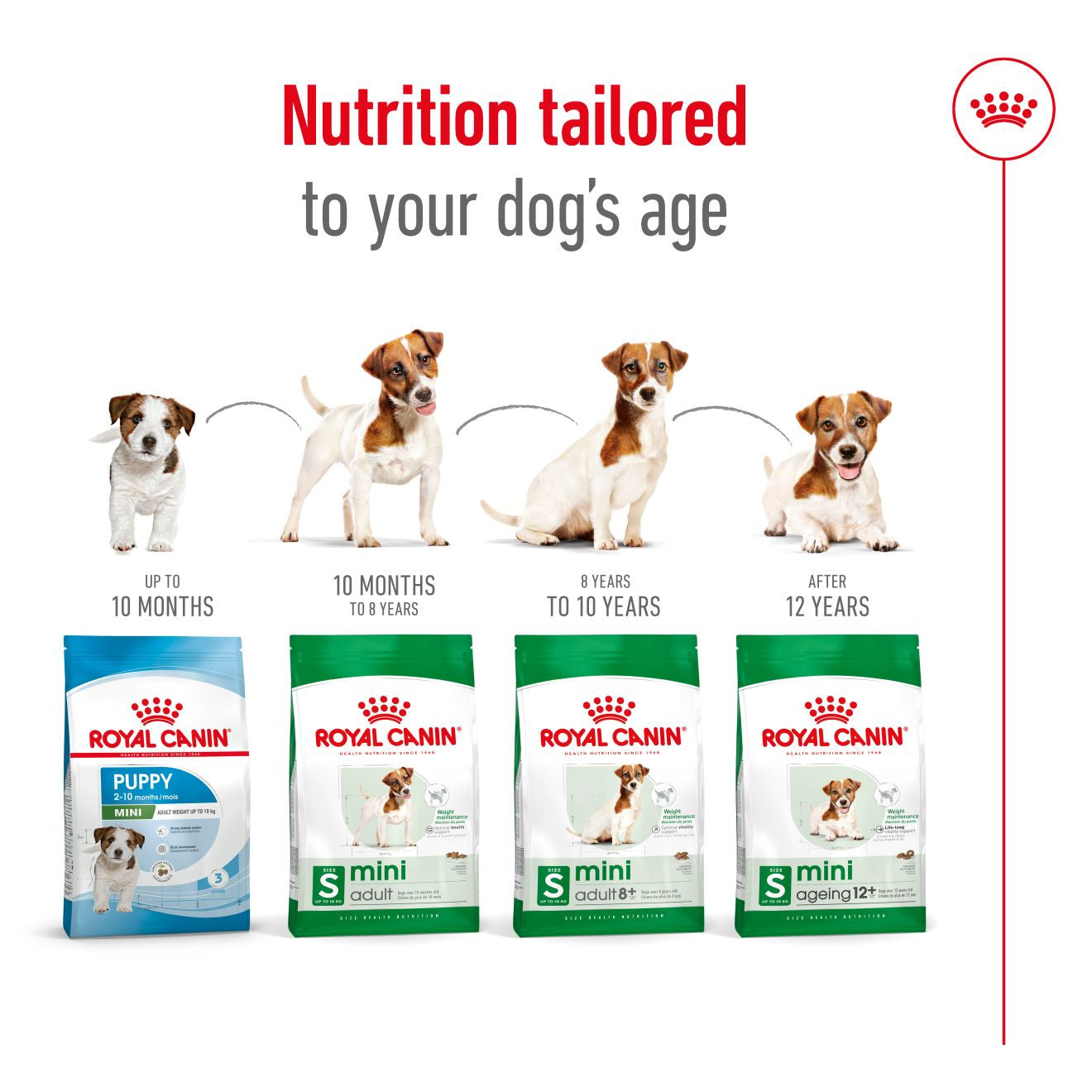 Royal Canin Size Health Nutrition Mini Adult Dry Dog Food