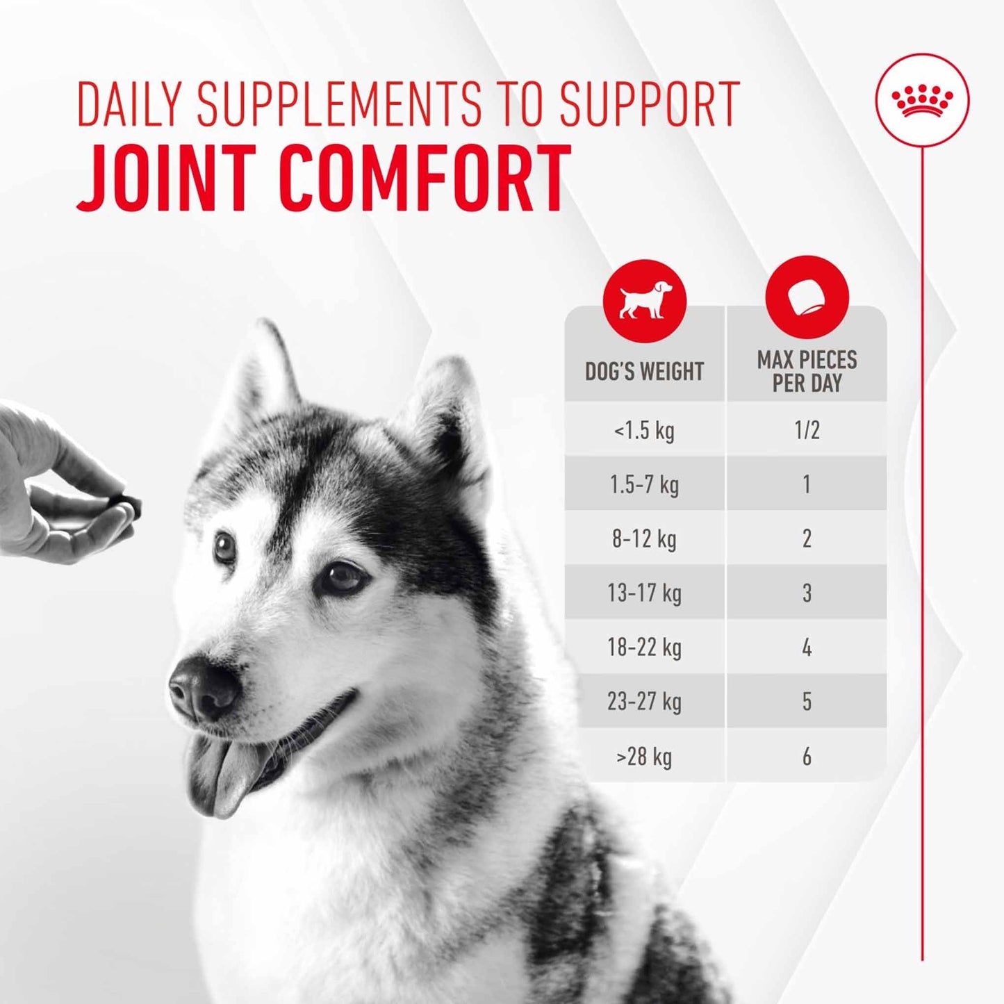 Royal Canin Dog Supplement for Joint & Ageing Soft Chews - 240g