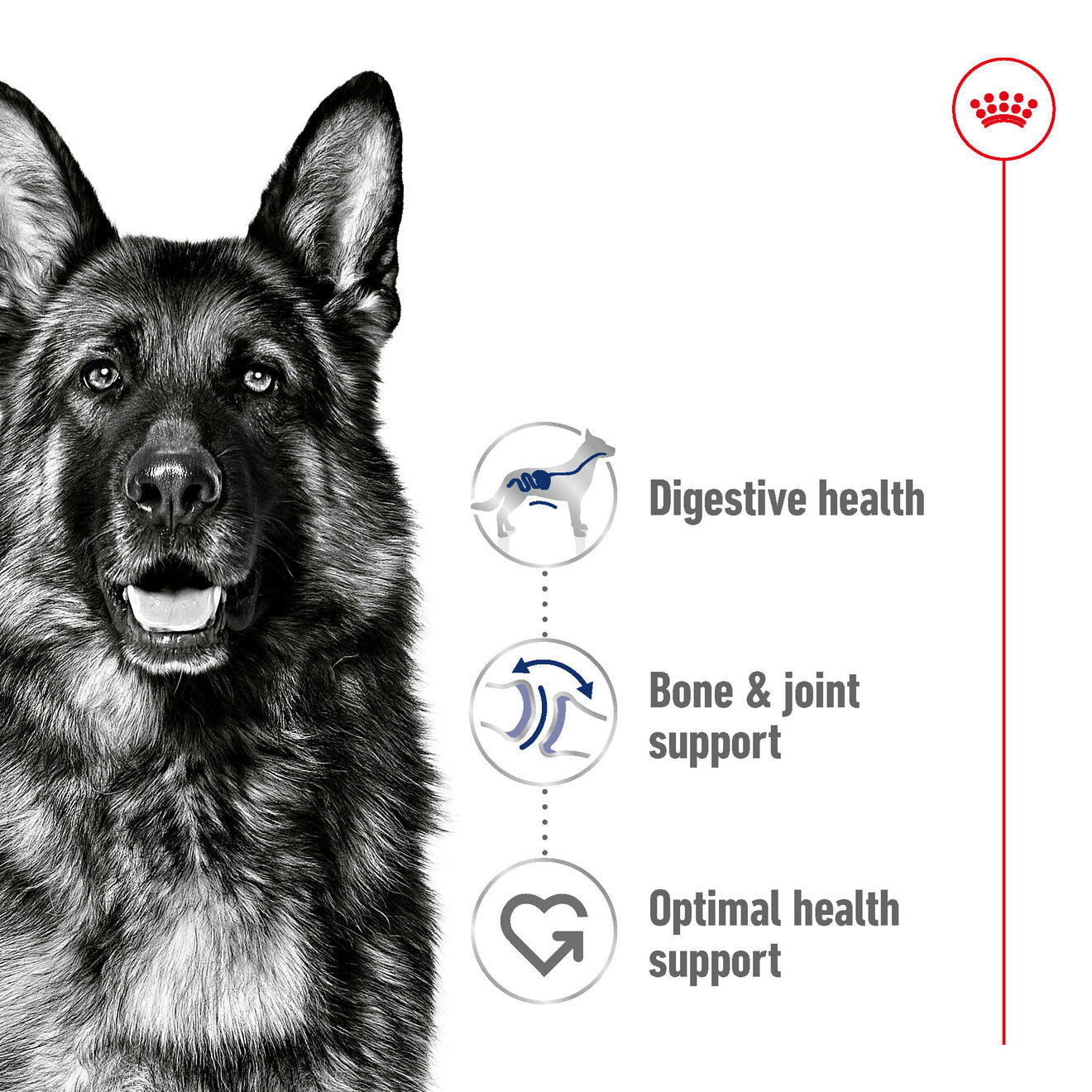 Royal Canin Size Health Nutrition Maxi Adult Dry Dog Food