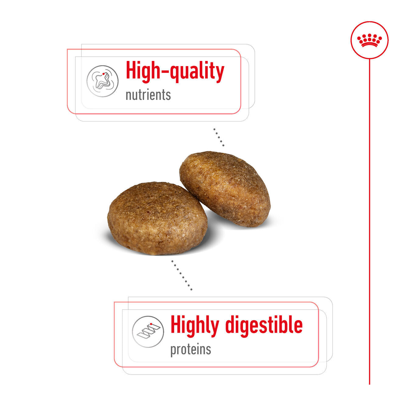Royal Canin Size Health Nutrition Maxi Adult Dry Dog Food
