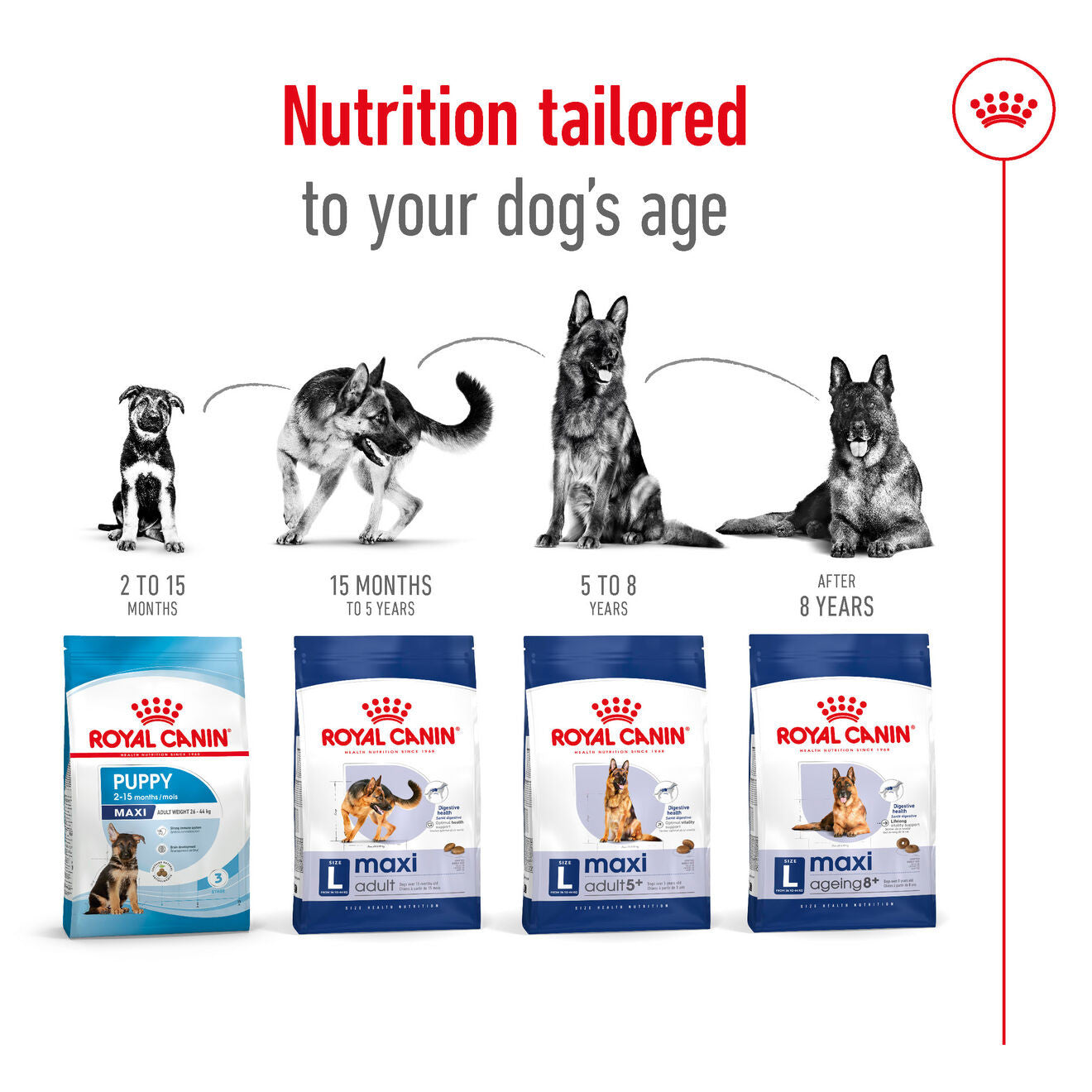 Royal Canin Size Health Nutrition Maxi Adult Dry Dog Food