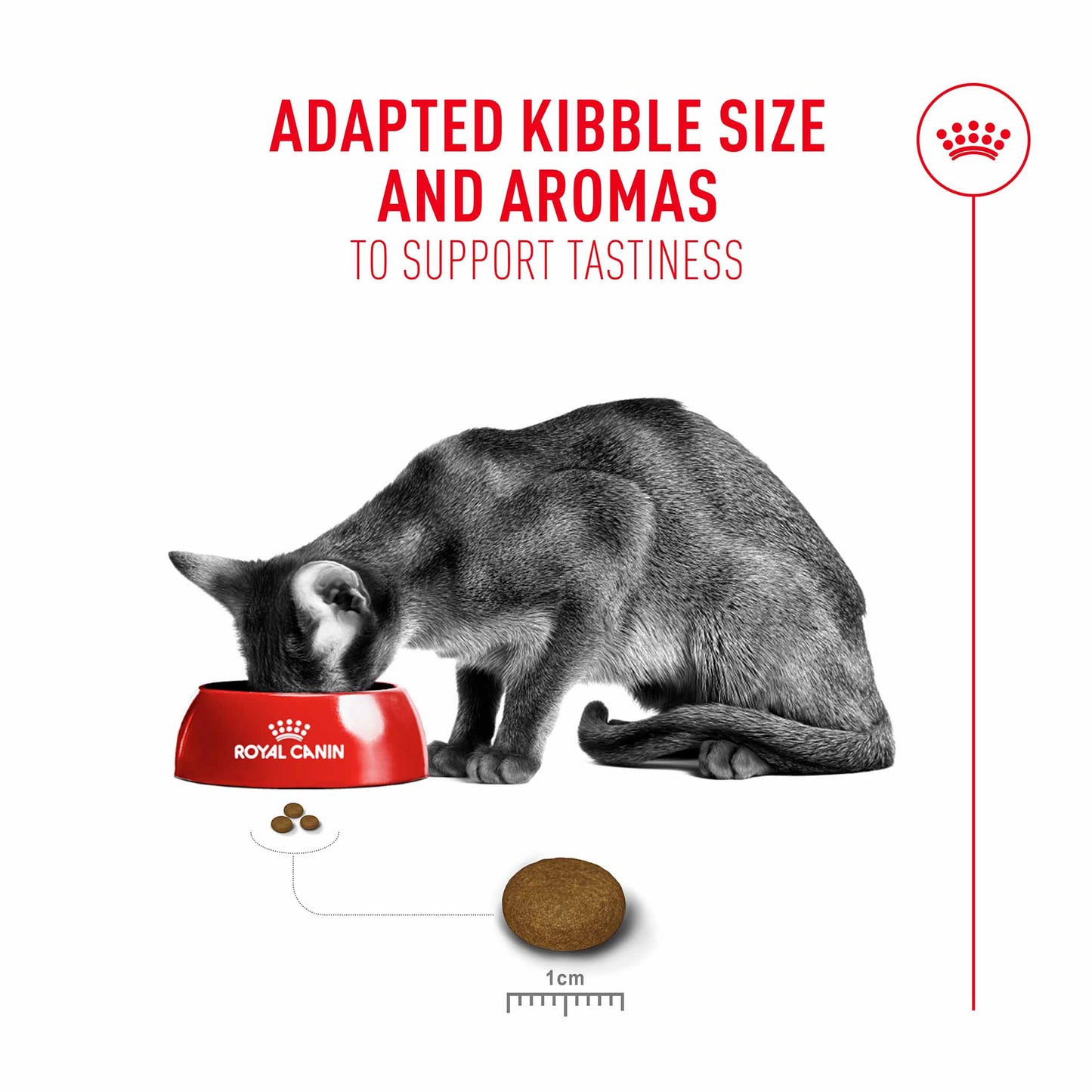 Royal Canin Fussy Adult Dry Cat Food