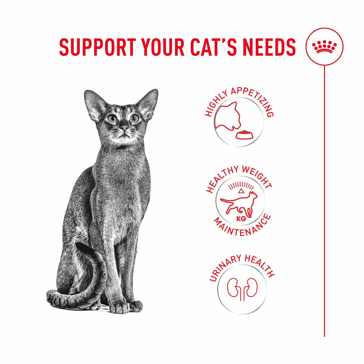 Royal Canin Fussy Adult Dry Cat Food
