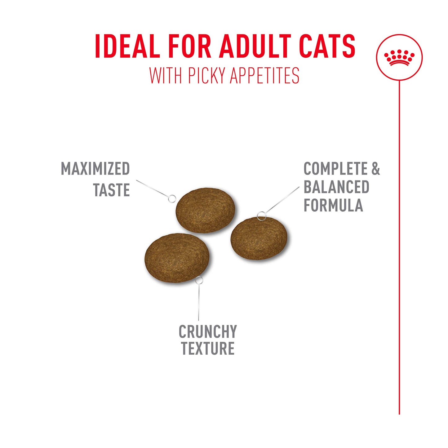 Royal Canin Fussy Adult Dry Cat Food