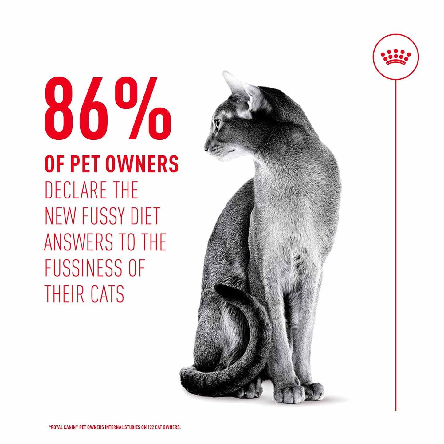 Royal Canin Fussy Adult Dry Cat Food