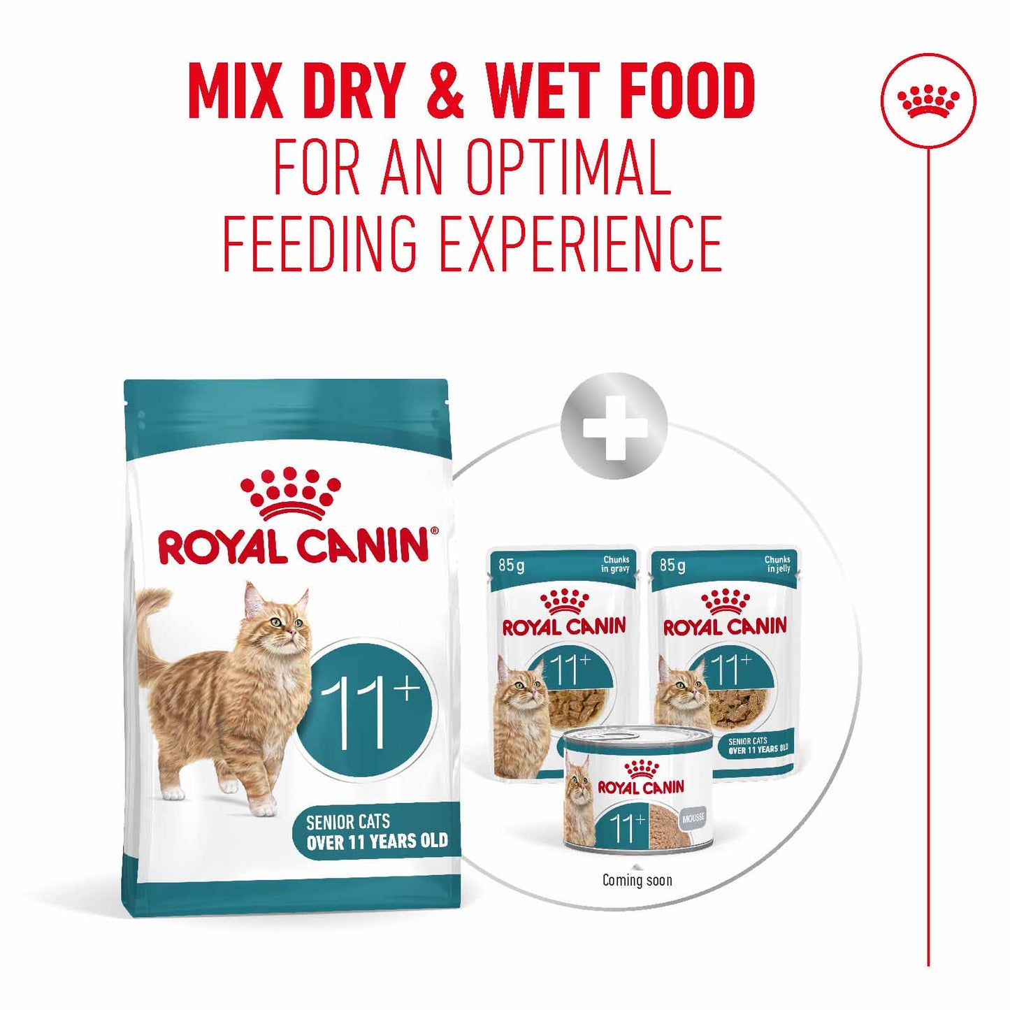 Royal Canin Ageing 11+ Senior Dry Cat Food