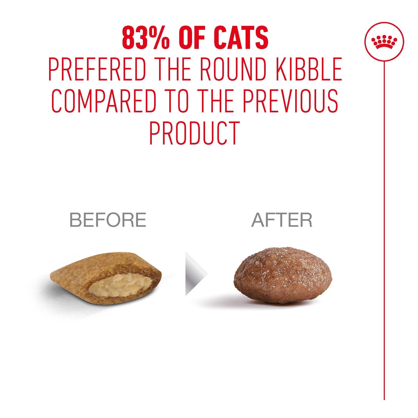 Royal Canin Ageing 11+ Senior Dry Cat Food